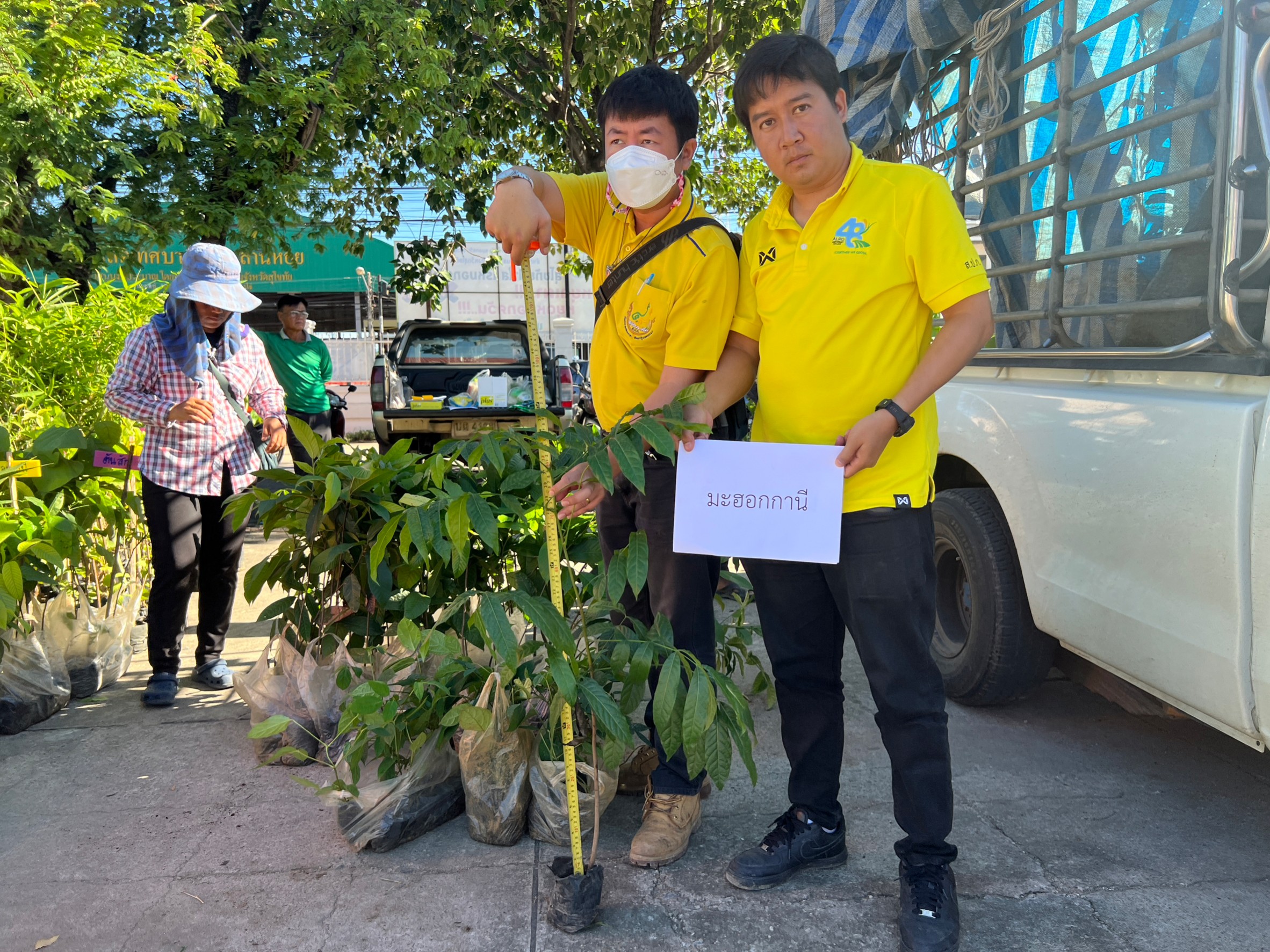 title - สนับสนุนปัจจัยการผลิต (พันธุ์ไม้) ภายใต้โครงการส่งเสริมระบบวนเกษตรในเขตปฏิรูปที่ดินจังหวัดสุโขทัย ปีงบประมาณ พ.ศ.2566